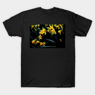 Daffodil Blooms #1 T-Shirt